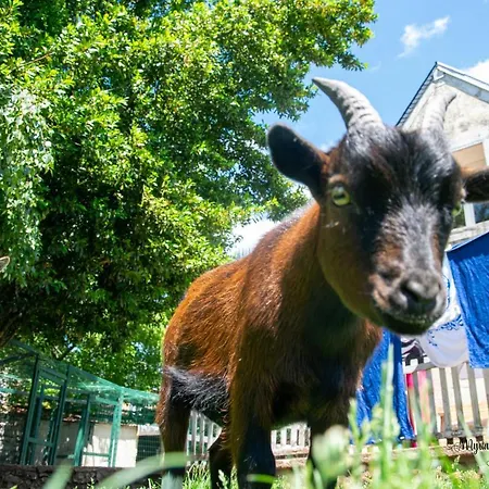 Chez Aurelia - & Table D'hotes Bed & Breakfast